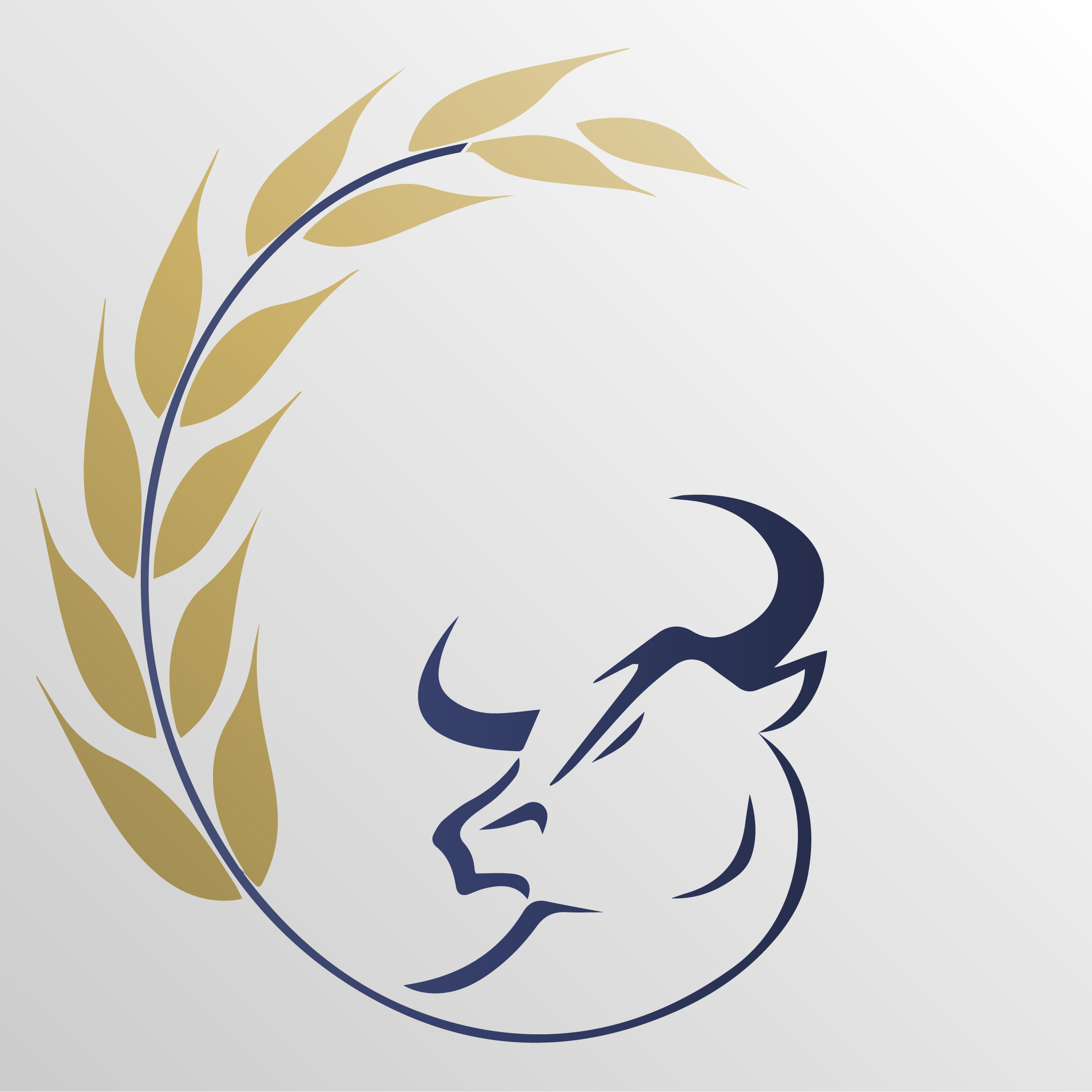 مدیریت دارایی گندم